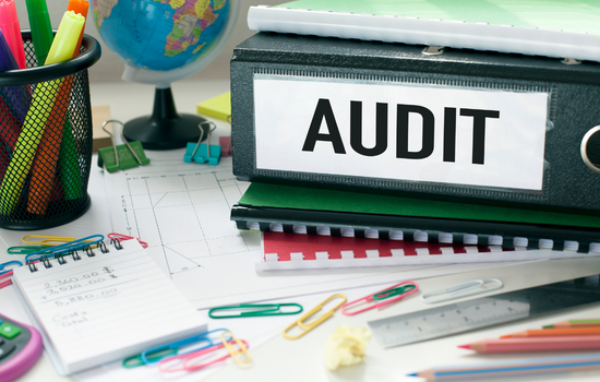 Auditing Corporate Governance